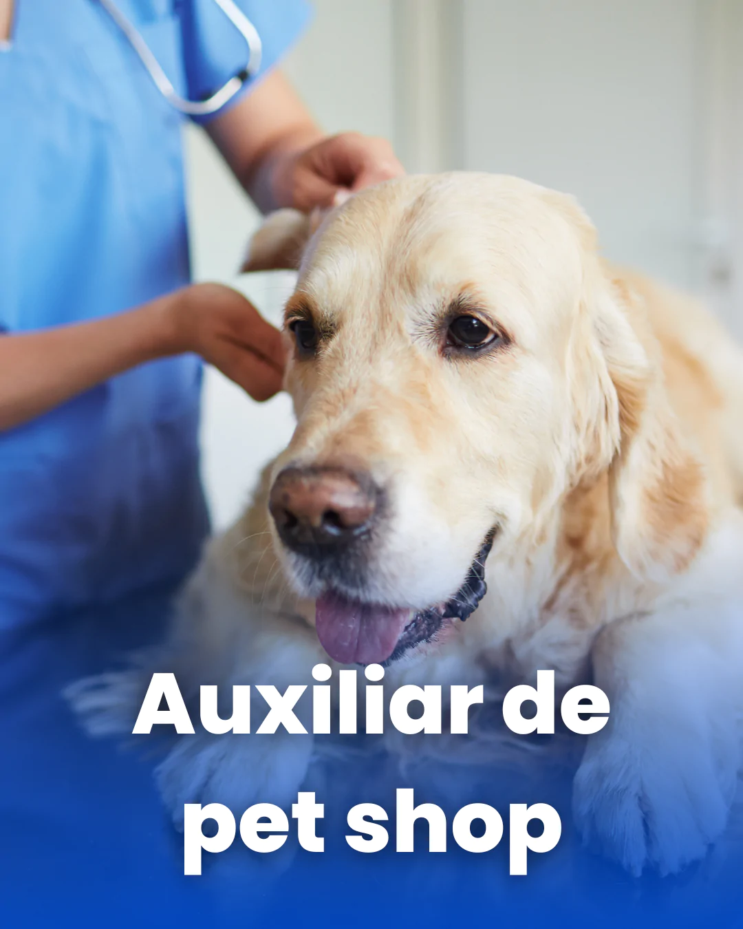 Curso de Pet Shop